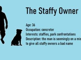 staffy owner