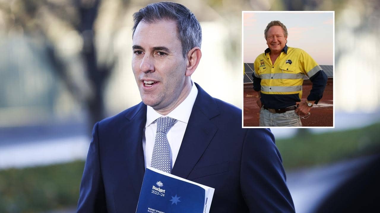 Treasurer Politely Asks Twiggy To Stop Messaging Him Saying “You’re Welcome” For Budget Surplus