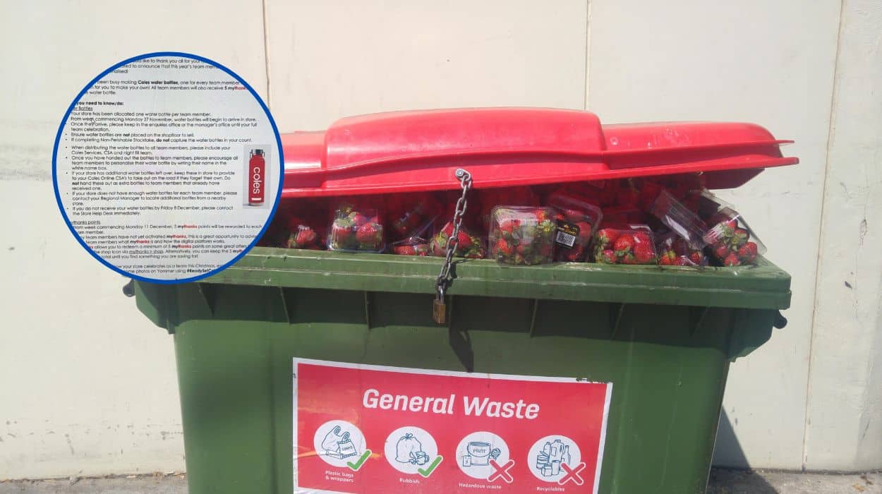 Coles apologises for stingy Xmas gift, tells staff they can also have first crack at the skip bin out back