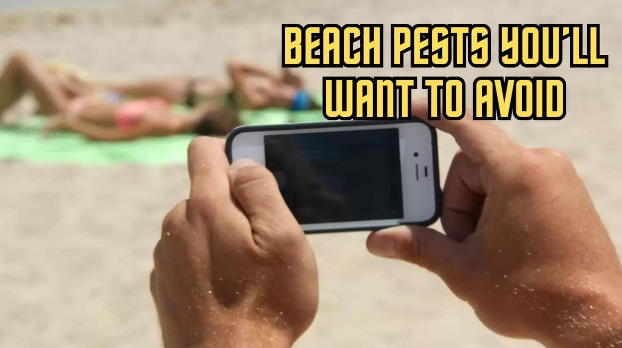 13 worst people you’ll encounter at the beach