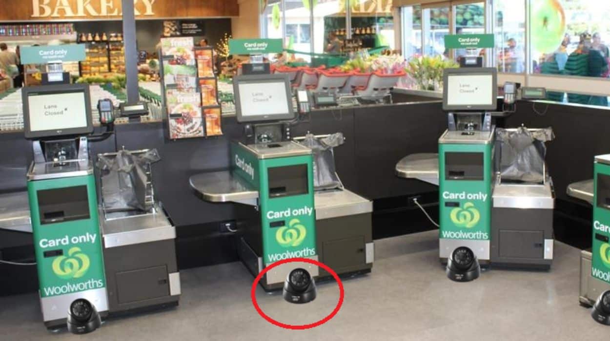 Woolworths proudly introduces self serve up-skirt cams to protect shareholders’ interests