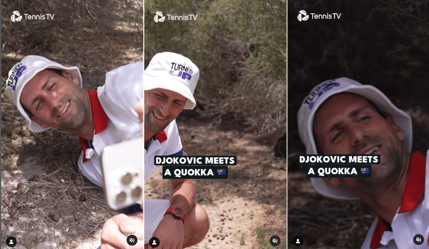 Novak Djokovic wins coveted “least amount of quokka in a quokka promotional post” award