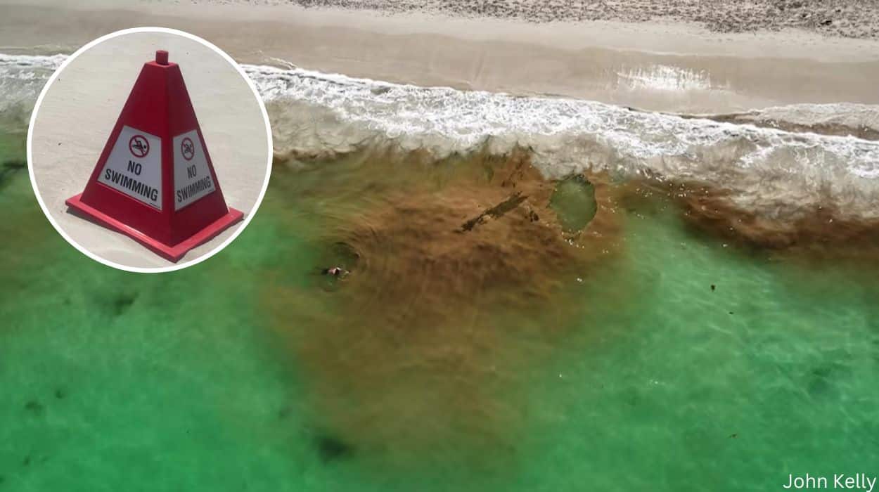 Mullaloo Beach closed again after algae bloom leaves water looking like a portaloo tank