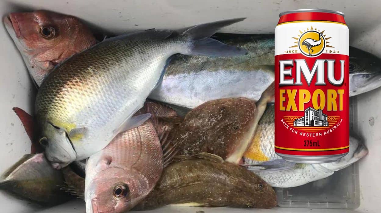 WA fisherman slammed for not using a beer can for scale