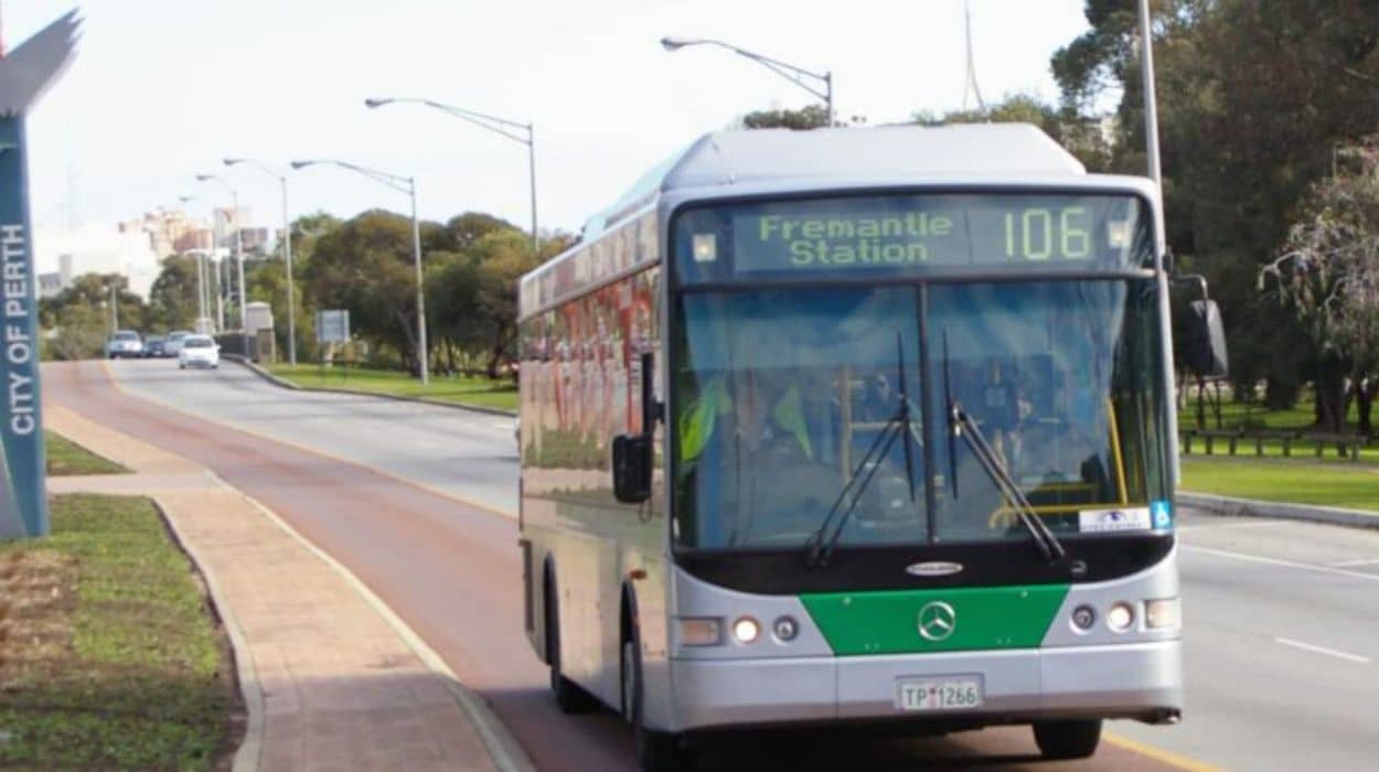 TransPerth to bring back the 106 in a bid to get Millennials back on public transport 