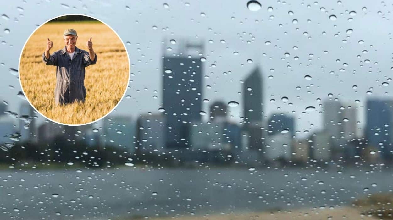 WA farmer absolutely stoked after hearing about the rain all the way in Perth 